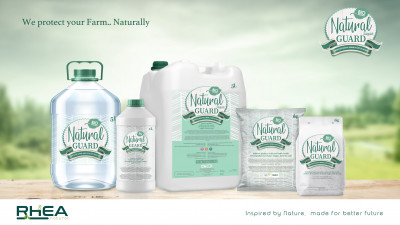 NG All Products 01 nature