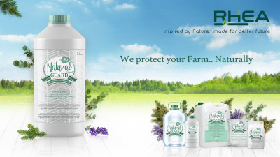 NG All Products 04