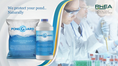 PD 3D Liquidsalt 02