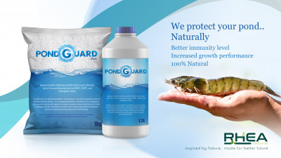 PD 3D Liquidsalt 03